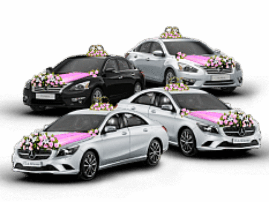 a0fa7a83d30119ad507a22737af993bd